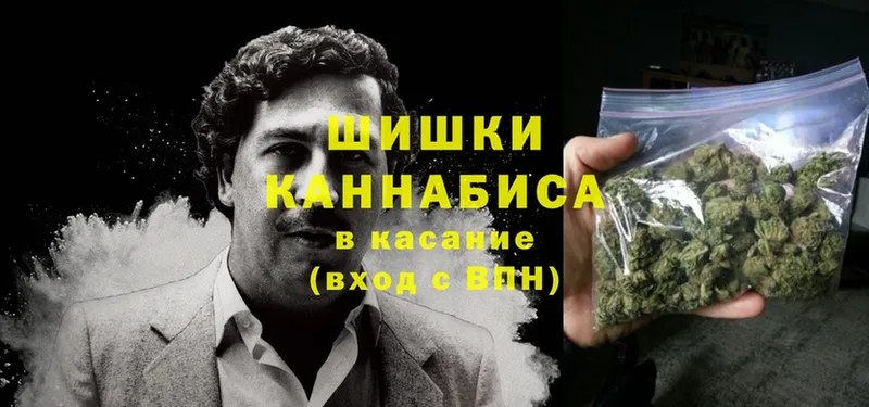 Бошки марихуана White Widow  где купить наркоту  ссылка на мегу как войти  shop как зайти  Вилючинск 